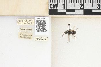 Media type: image;   Entomology 773842 Aspect: Labels